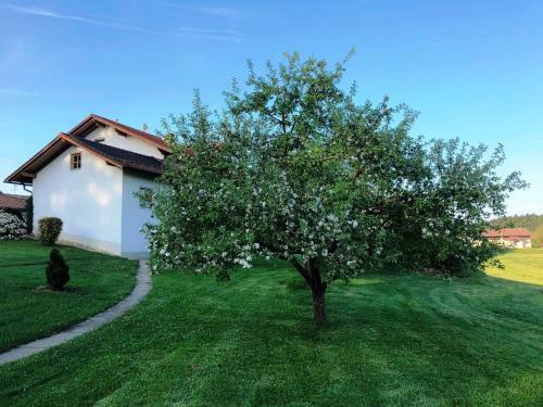 Apartamento Ferienwohnungen Martina