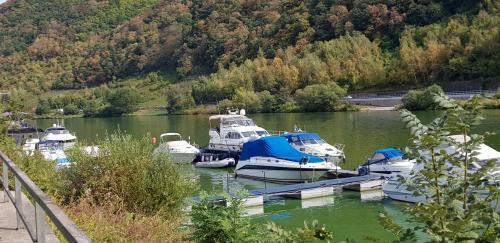 Cafe Sander�s Camping Auf Der Mosel