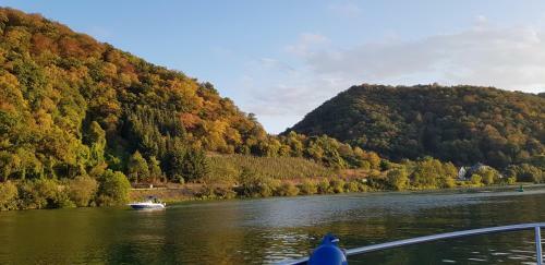 Cafe Sander�s Camping Auf Der Mosel