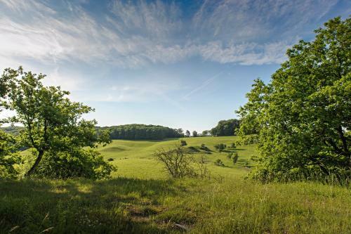 Nengshof Ferienhaus G�nsebl�mchen