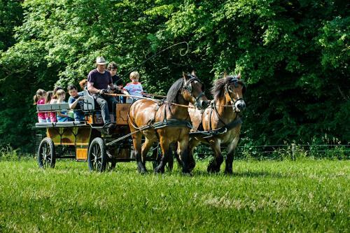 Nengshof Ferienhaus G�nsebl�mchen