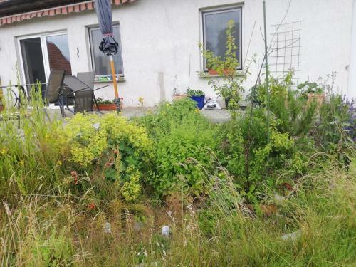 Apartamento Ferienwohnung - A44958