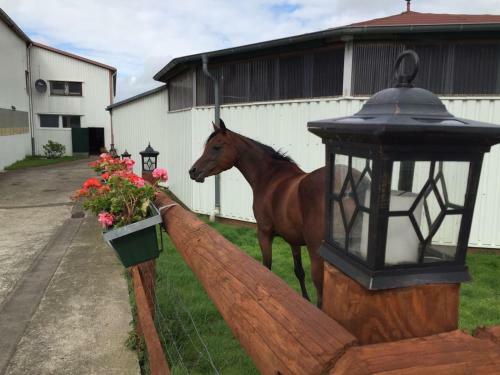 Apartamento Pl�tzchen Im Herzen Nordfrieslands