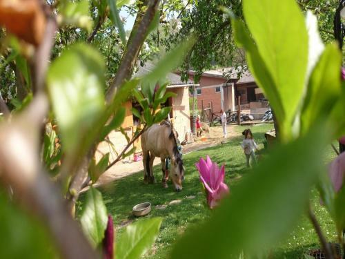 Apartamento Anitas Landerlebnis