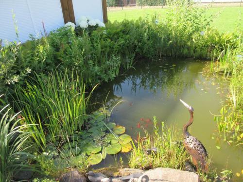 Apartamento Ferienwohnung Rogge (stendal)