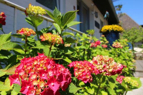Apartamento Gro�e-wilde-betten