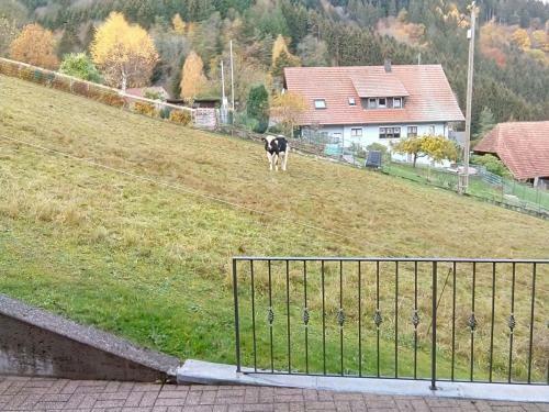 Apartamento Ferienwohnung Morgensonne