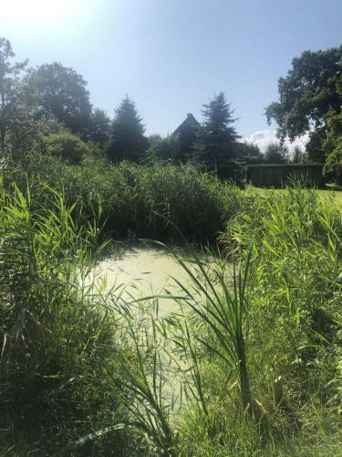 Apartamento Grundhof Wolfskrug