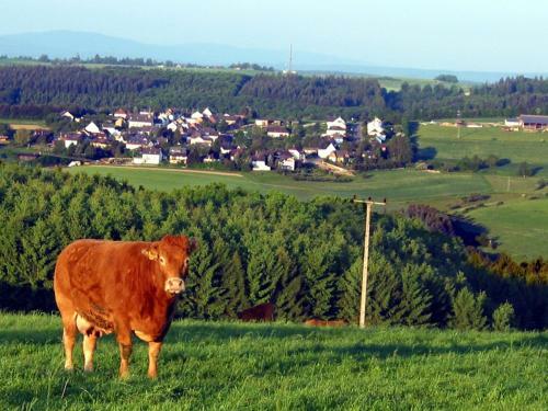 Ferienhaus Sabine
