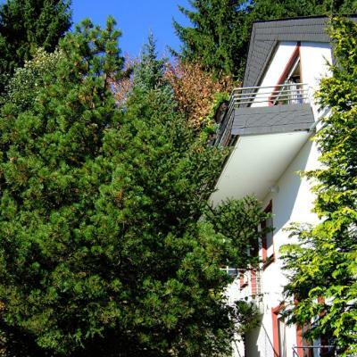 Apartamento Ferienwohnung Napierski