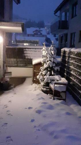 Apartamento Sommerwind Am Kurgarten
