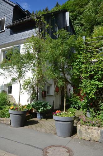 Apartamento Birgits Landhaus Willingen