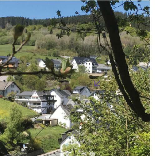Apartamento Ferienwohnungen Bergzauber Willingen