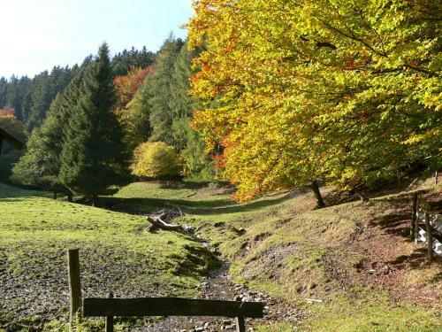 Apartamento Ferienwohnungen Bergzauber Willingen