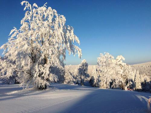 Apartamento Ferienwohnungen Bergzauber Willingen