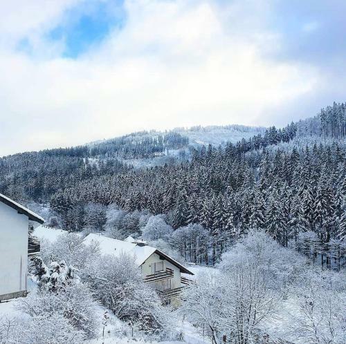 Apartamento Ferienhaus Waldblick