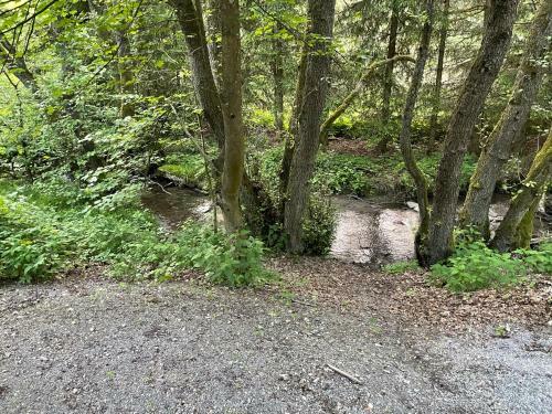 Apartamento Ferienwohnung Up Willingen-schwalefeld
