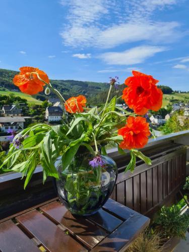 Apartamento Panoramablick Willingen Schwalefeld