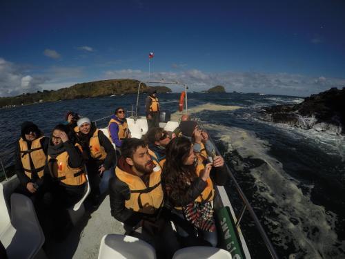 Hostel Submarino Amarillo