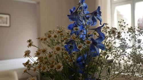 Apartamento Georgenblick Wismar - Abc266