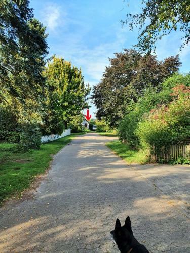Apartamento Carl 7 - Ruhig, Bezaubernd, Eigen