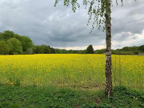 Apartamento Mitten Im Dorf