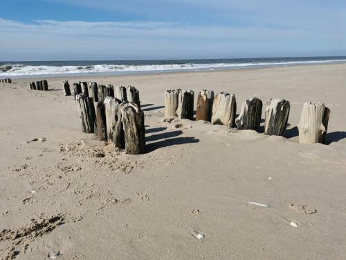 Apartamento Sylt Und Meer