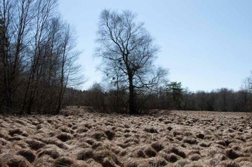 Apartamento Ferienwohnung Krenzer