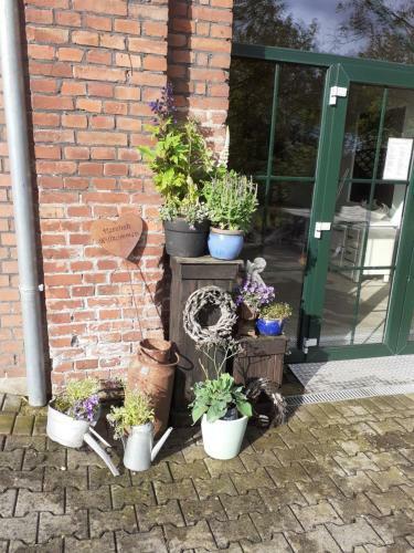 Apartamento M O E R E N H O F Ferienwohnung Xanten