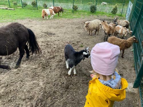 Poppes Ranch Bauerhof & Campingpl�tze