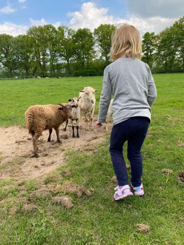 Poppes Ranch Bauerhof & Campingpl�tze