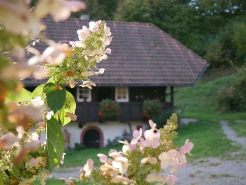 Buchenhof