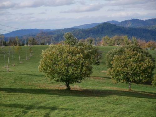 Buchenhof