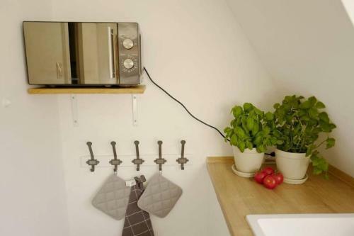 Apartamento B2