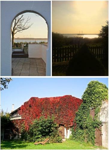 Seeblick Cottage