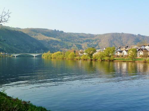 Apartamento Mosel Ausblick