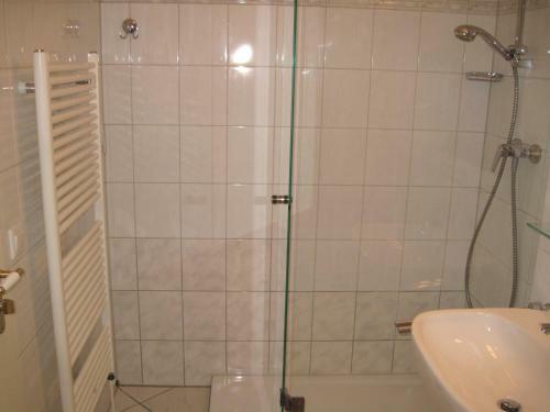 Apartment Astra