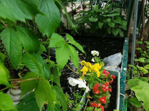 Hostal G�te La Vall�e En Fleur