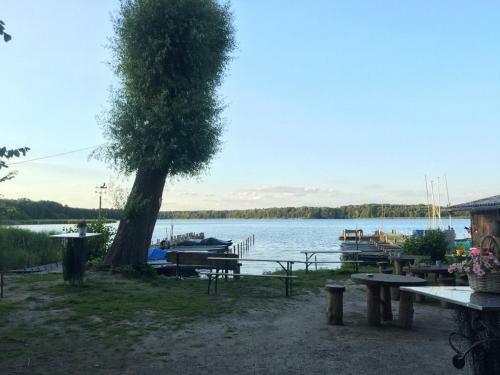 Apartamento Ferienwohnung Zossen