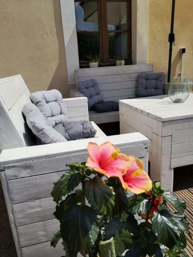 Apartamento Zur Alten Post Zittau