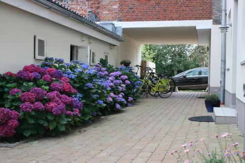 Apartamento Stadtwohnung 8