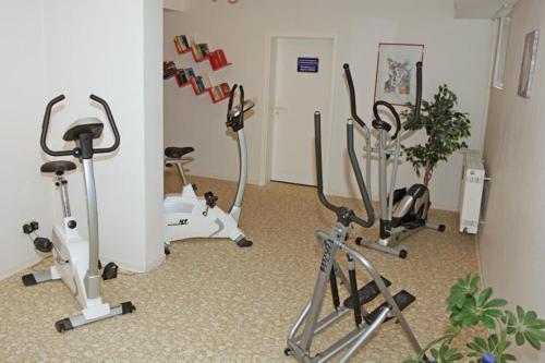 Apartamento Ferienwohnung Merle