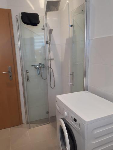 Apartamento Ferienhaus Ixheim Bitscher Str.70