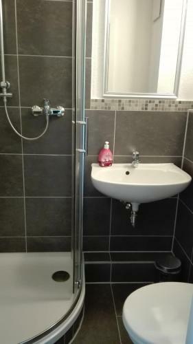 Hostal Landpension Zwenkau