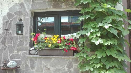 Hostal Landpension Zwenkau