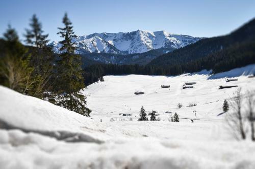 Apartamento Spitzing Lodge Ferienwohnungen