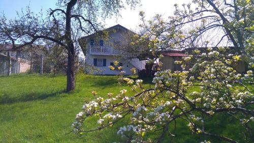 Apartamento Obstgartenferien