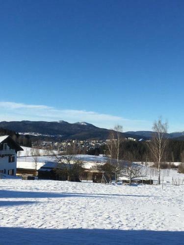 Apartamento Ferienwohnung Pauli