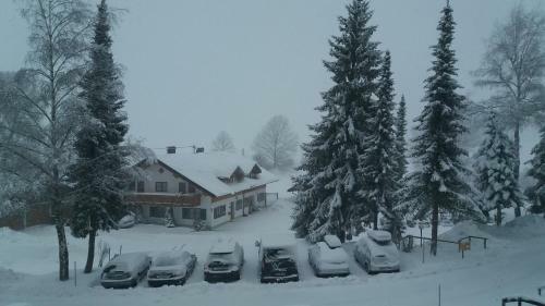 Apartamento Ferienwohnung Tannenblick