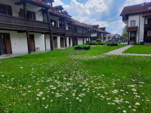 Chrysantihof Zwiesel - Apartment 231